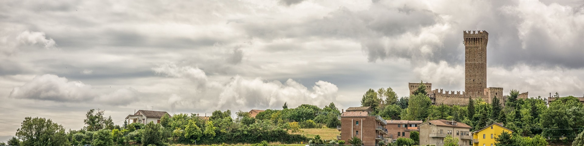 rural summer landscape with vineyards and olive fields near Porto Recanati in the Marche region, Italy