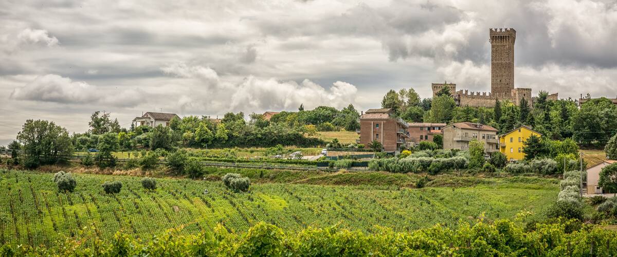 A castle with a tall tower surrounded by vineyards and residential buildings.