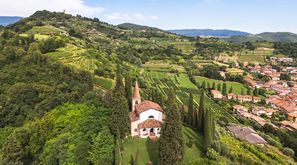 Aerial view of Franciacorta vineyards with San Rocco church in the foreground, Brescia province, Lombardy district, Italy.