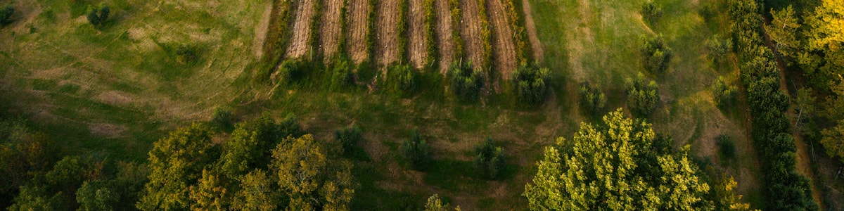 An aerial view of a historic stone church surrounded by lush greenery and terraced fields.