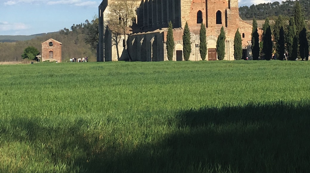 Abbazia di San Galgano, Pasqua 2017
