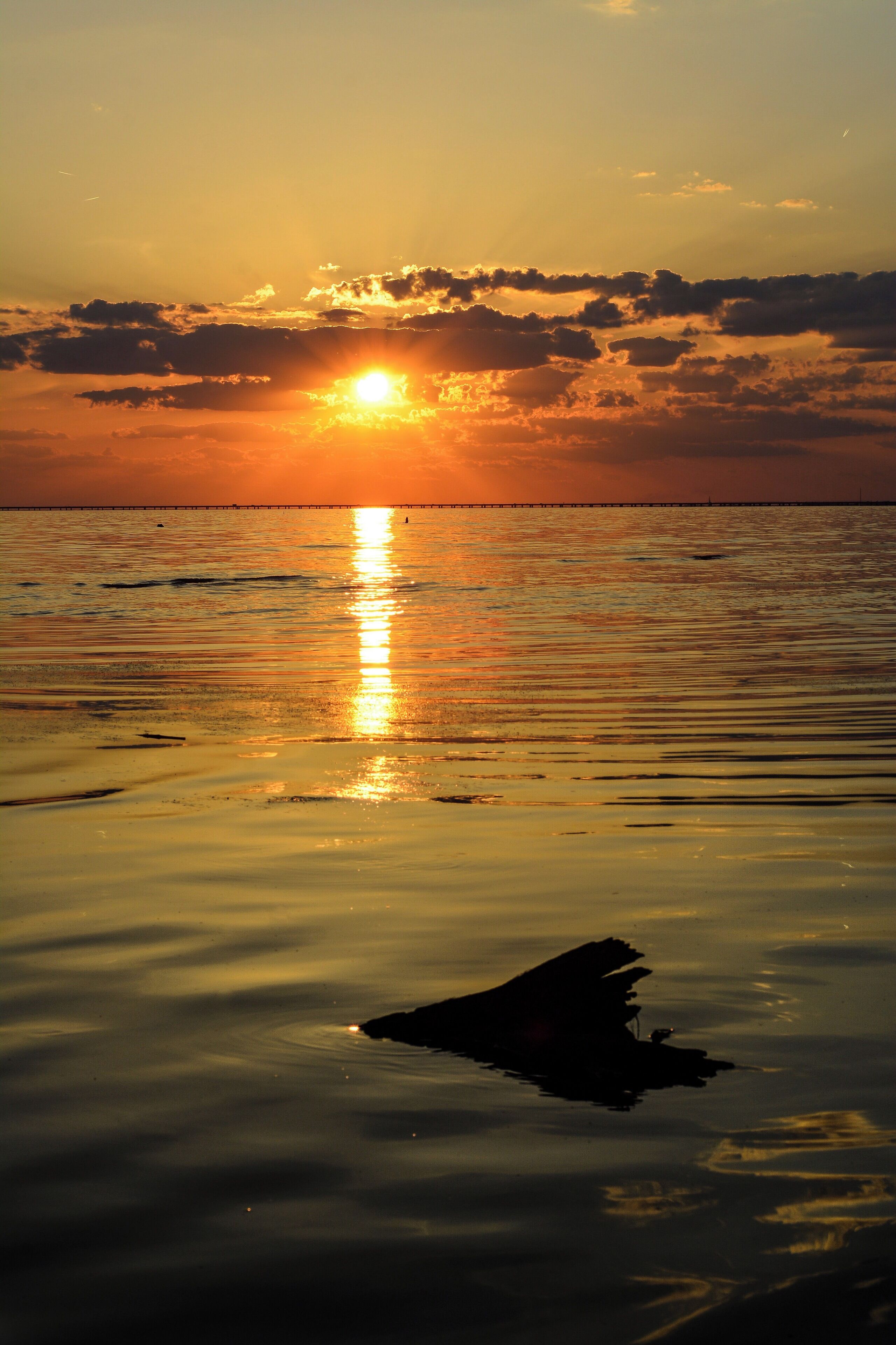 Sunset at Fontainebleau State Park, La.