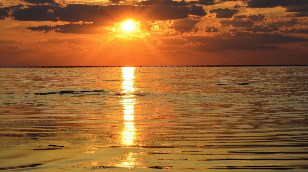 Sunset at Fontainebleau State Park, La.