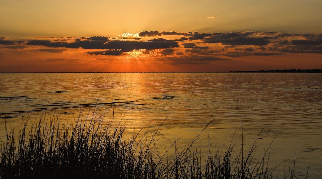 Sunset and grass on the Lake, Lake Pontchartrain, La.
