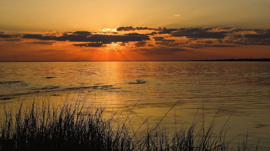 Sunset and grass on the Lake, Lake Pontchartrain, La.