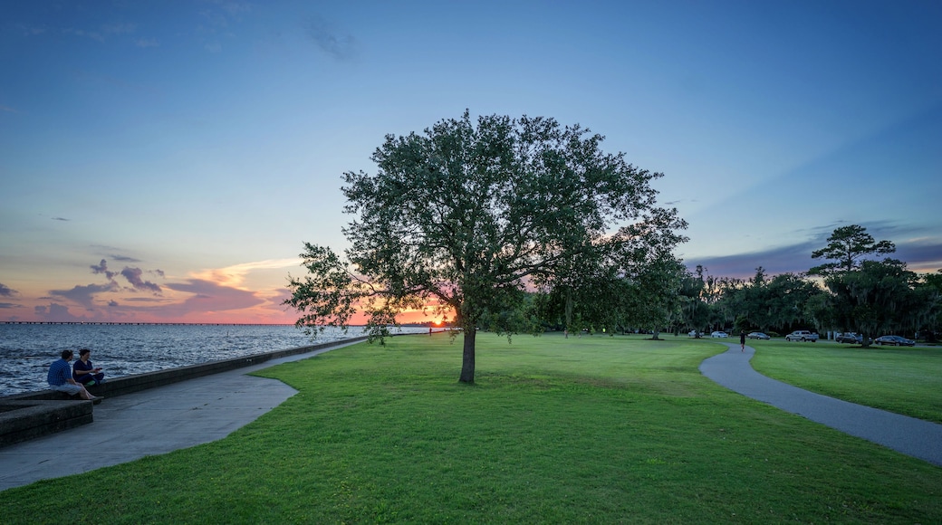 Mandeville Lakefront