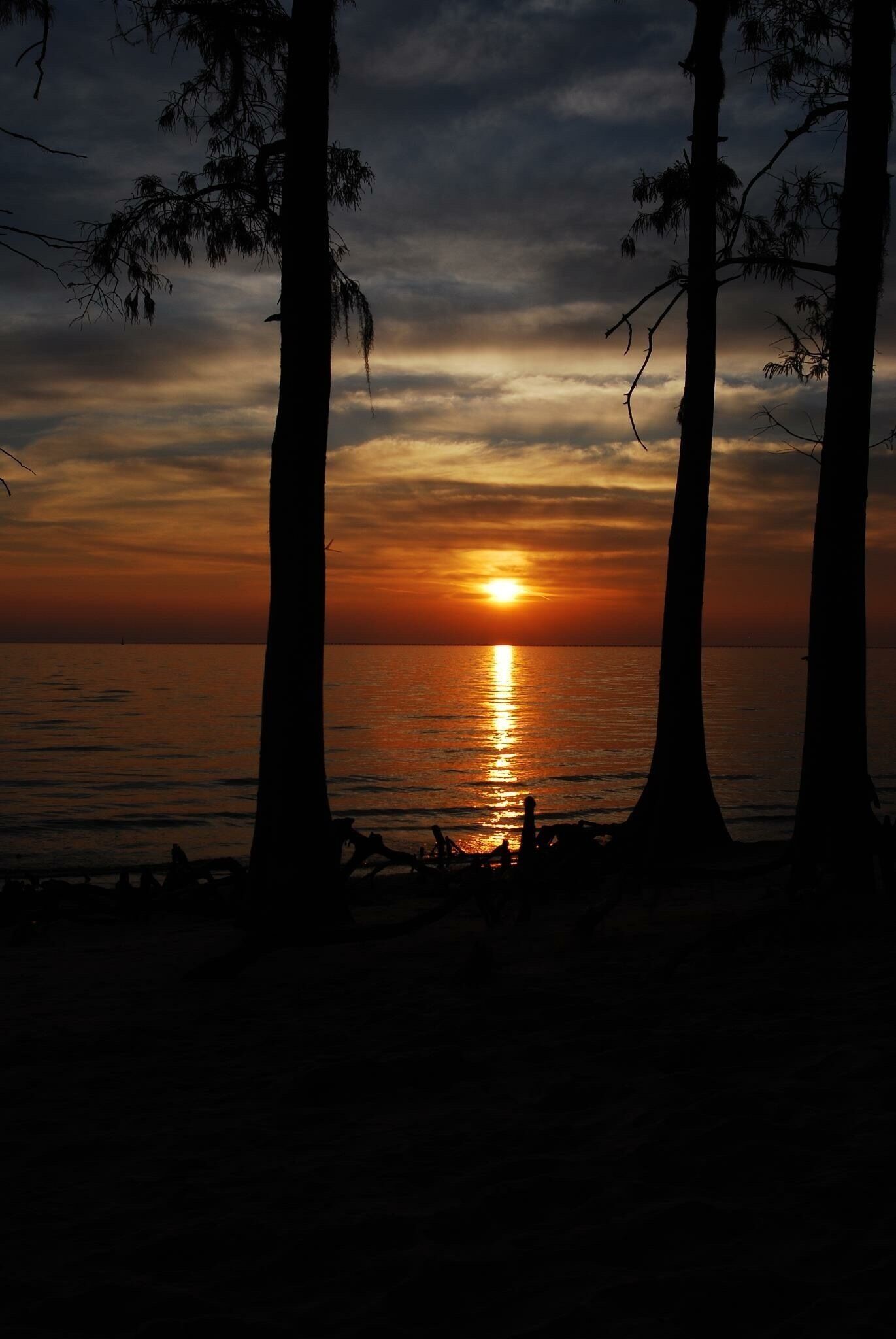 A sunset over the ocean with silhouettes of trees.