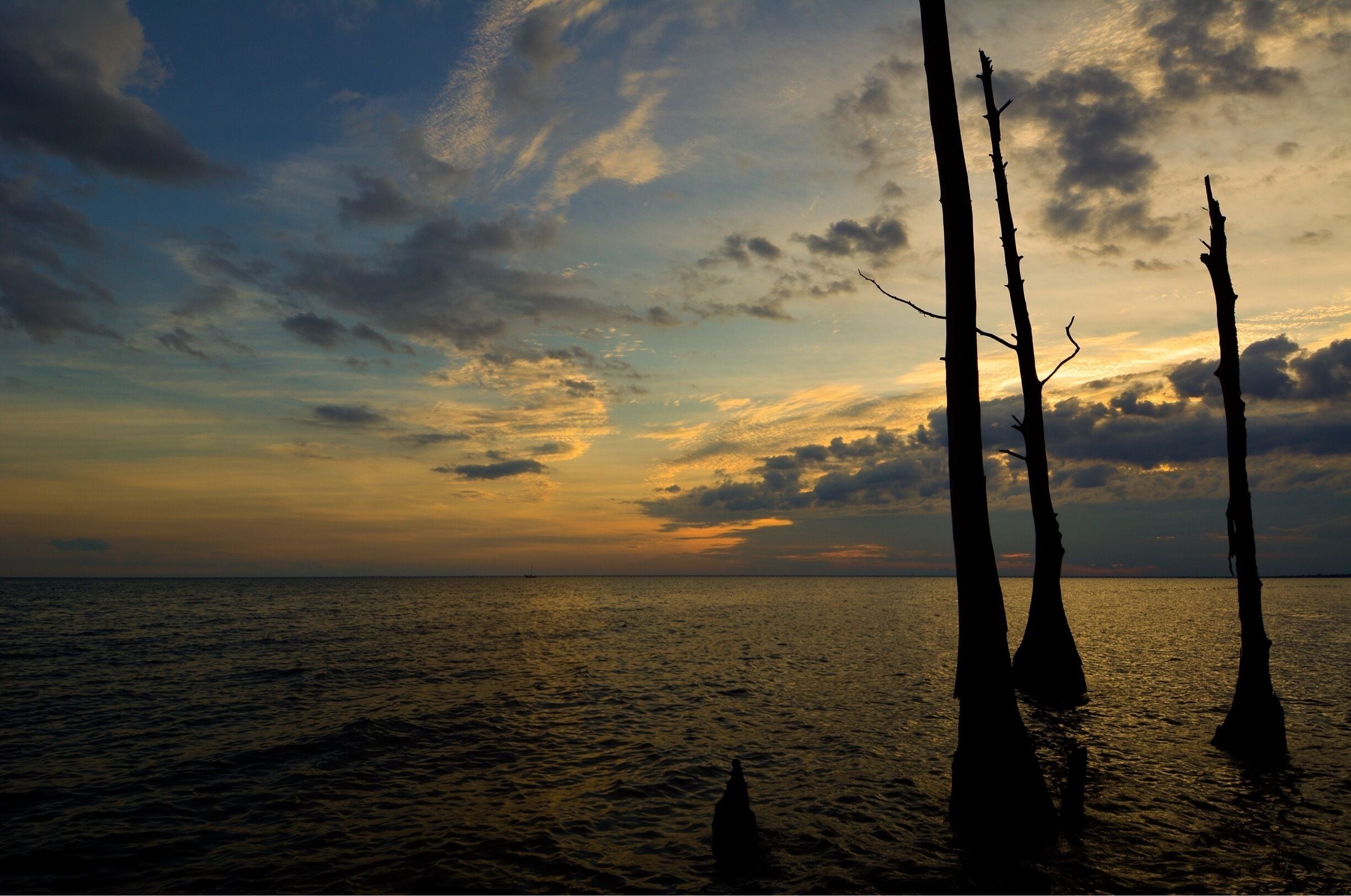 Sunset at Fontainebleau State Park, Mandeville, Louisiana