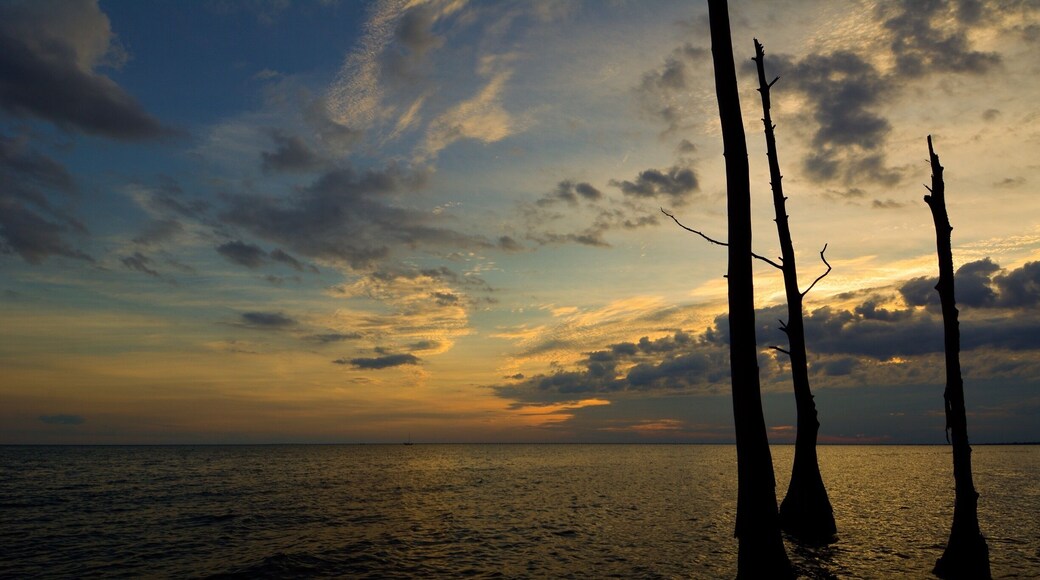 Sunset at Fontainebleau State Park, Mandeville, Louisiana