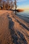 A pebbly beach with shadows of trees and a calm body of water.