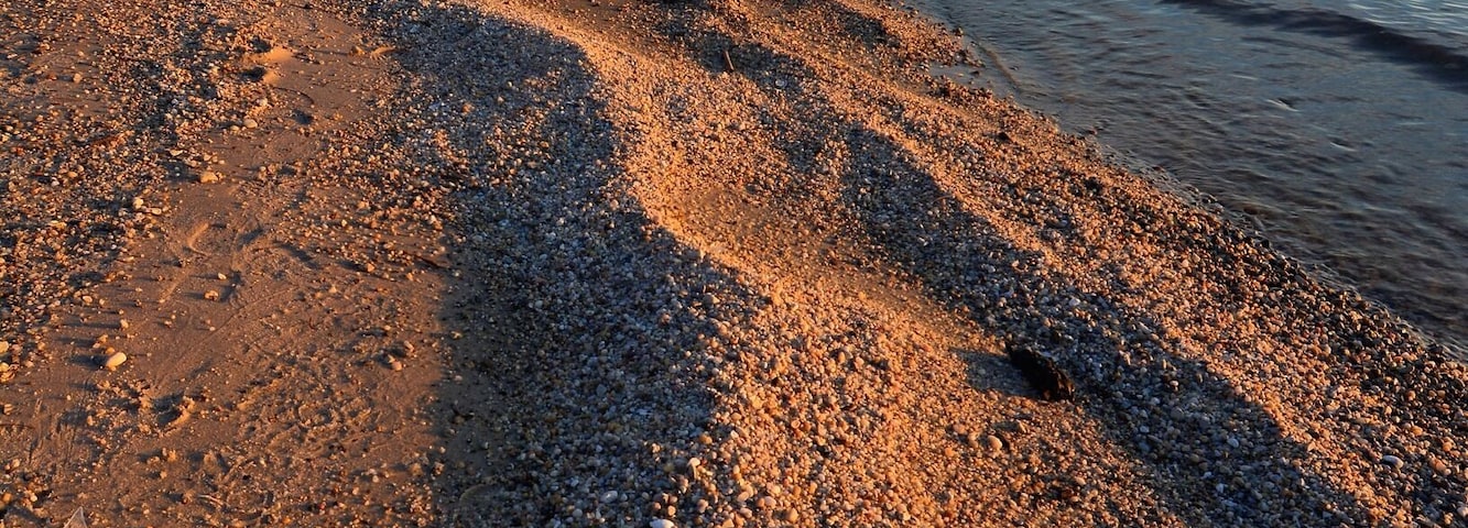 Una playa pedregosa con sombras de árboles y una masa de agua tranquila.