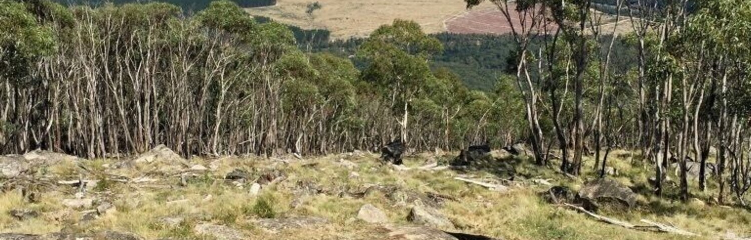 Paisaje montañoso con poca vegetación, terreno rocoso y una vista distante de un valle.