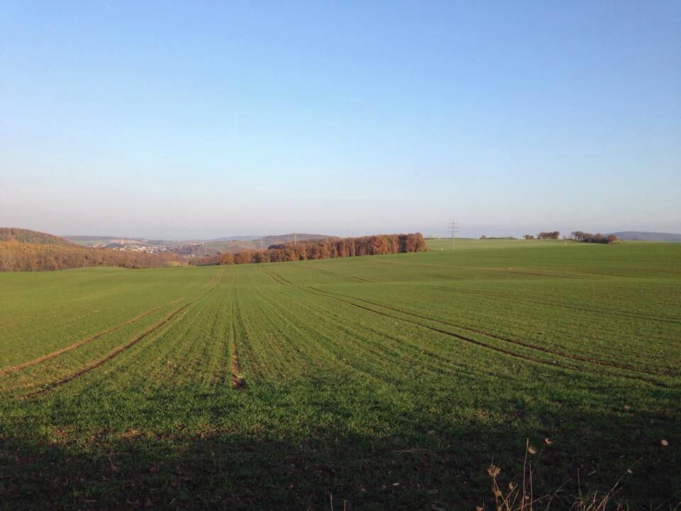 Bad Sobernheim is a little town near the Hunsrück. It's a perfect location for long walks through wine yards and forests. If you ever feel stressed, visit Bad Sobernheim and enjoy the beauty of the nature. #LifeAtExpediaGroup