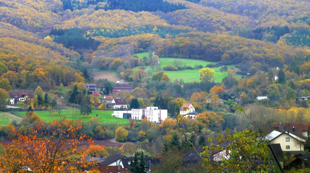 Bad Sobernheim – Blick von Leinenborn ins Nachtigallental und Freilichtmuseum