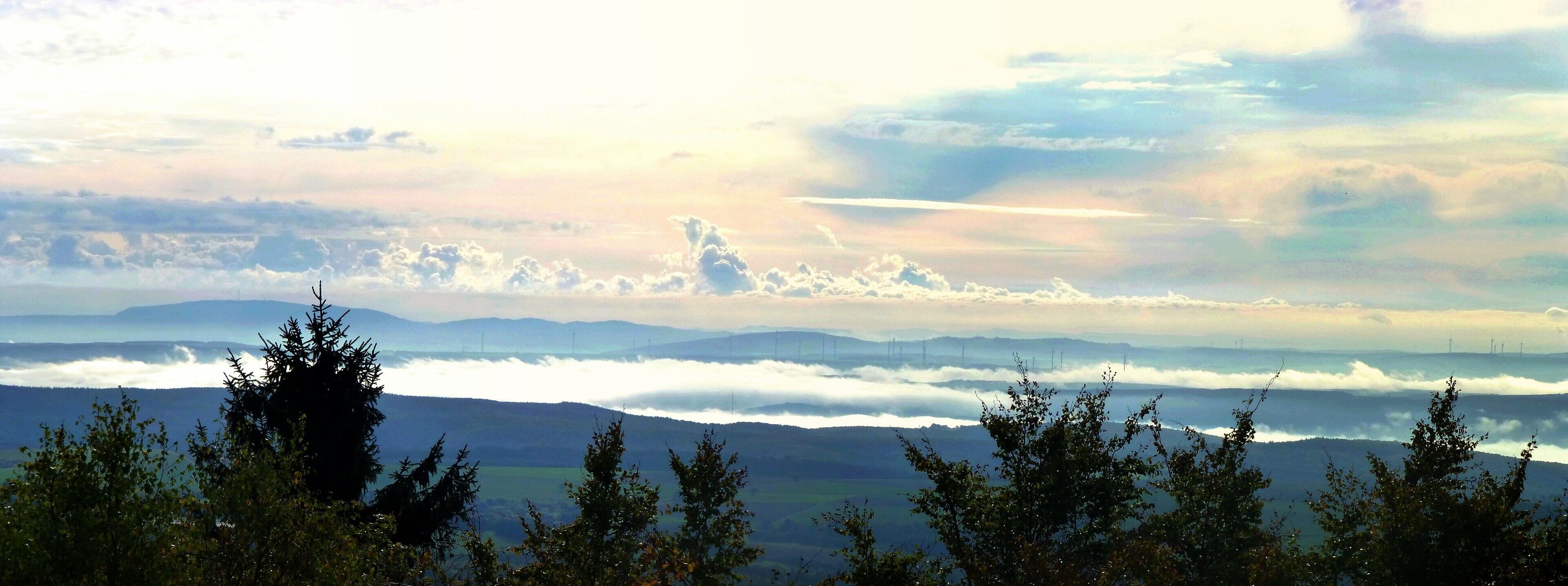 Blick von der Alteburg im Soonwald in den Pfälzer Wald