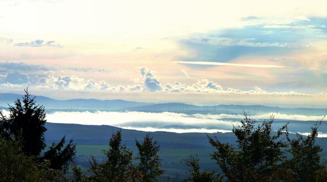 Blick von der Alteburg im Soonwald in den Pfälzer Wald