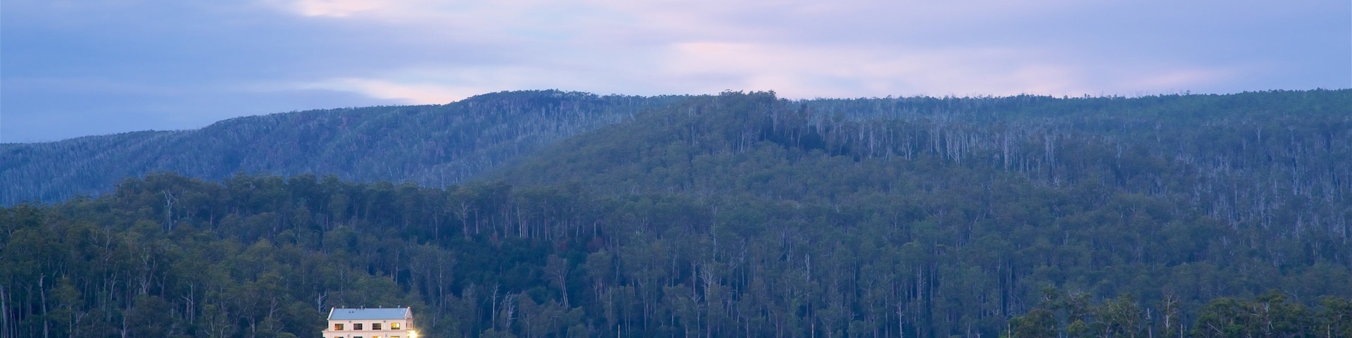 Lake St Clair National Park