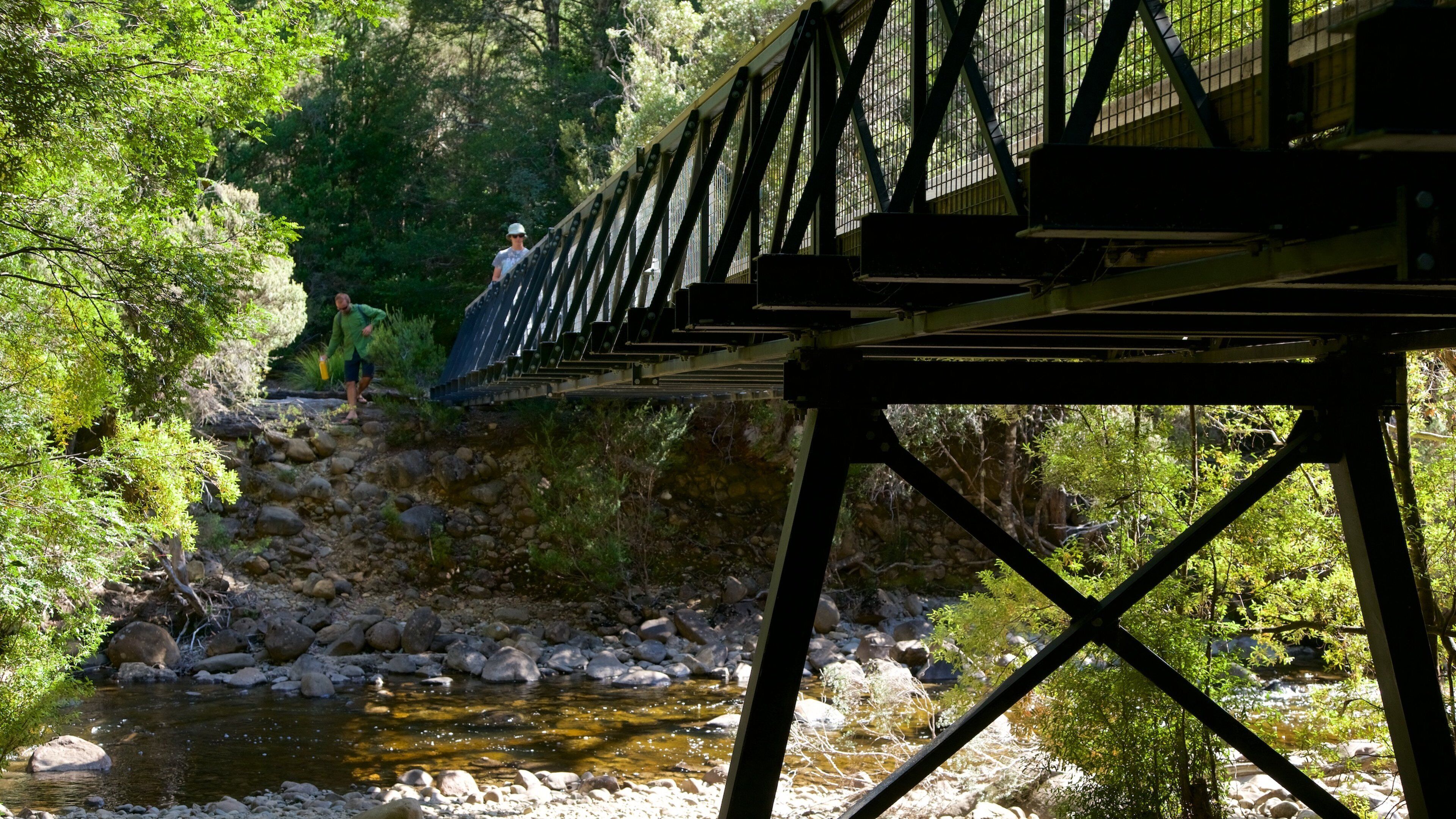 Lake St Clair National Park
