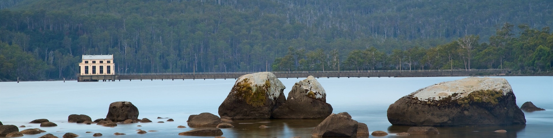 Lake St Clair National Park mit einem See oder Wasserstelle