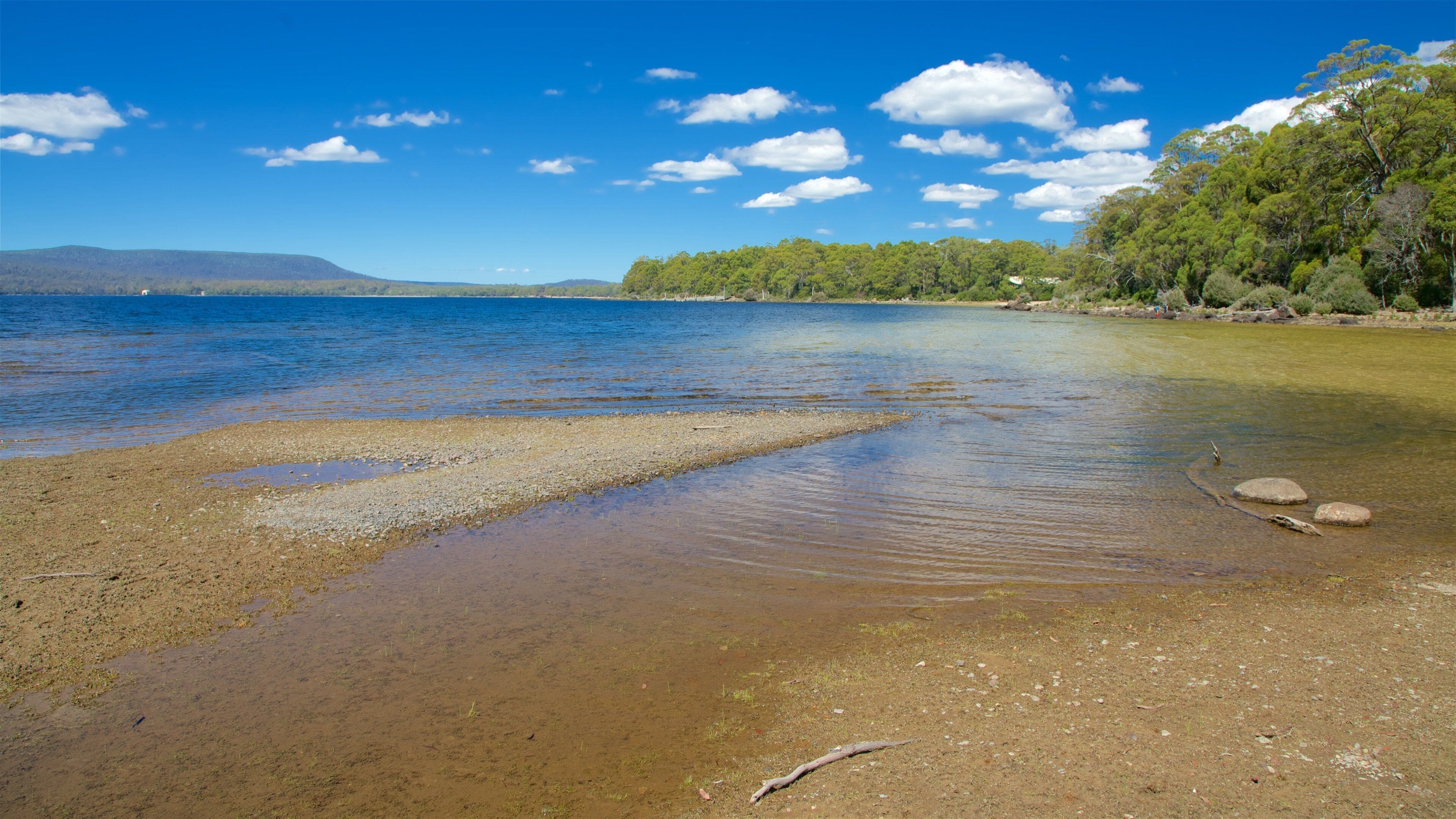 Lake St Clair National Park