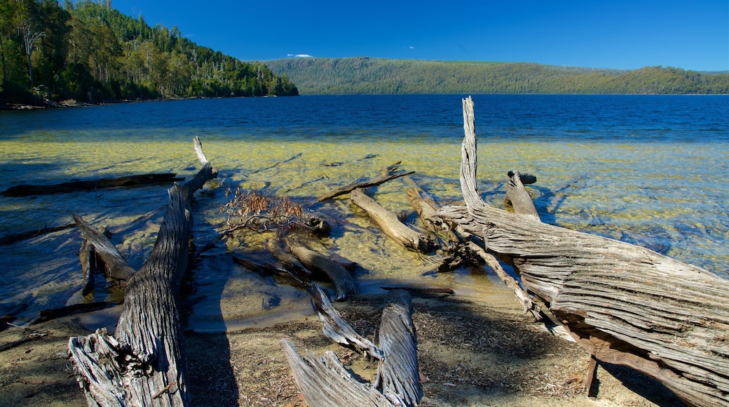 Lake St Clair National Park