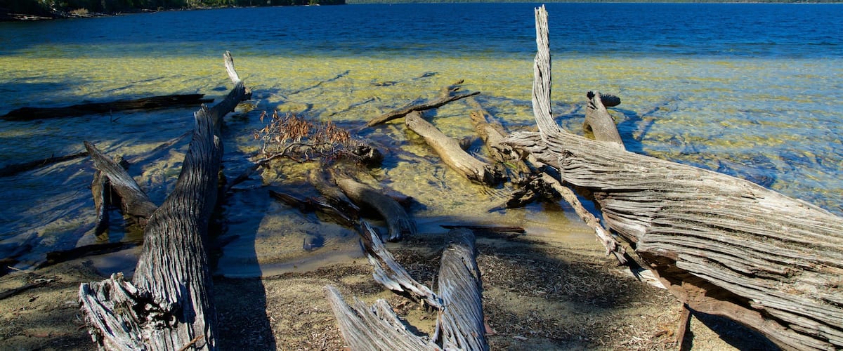 อุทยานแห่งชาติเลคเซนต์แคลร์ ซึ่งรวมถึง ทะเลสาบหรือแอ่งน้ำ และ พื้นที่ชุ่มน้ำ