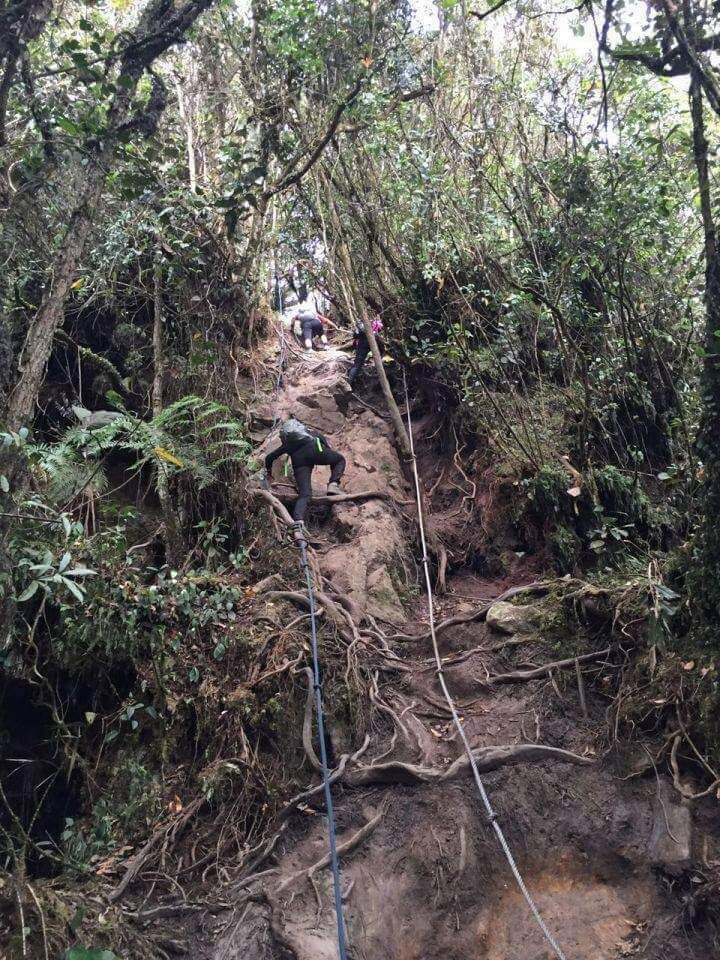 Just before reaching the top of Pinetree trail, we had to climb this section using rope
#pinetreetrail #fraserhill #hiking #weekendgetaway