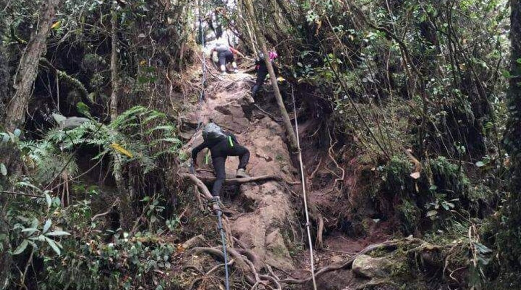 Just before reaching the top of Pinetree trail, we had to climb this section using rope
#pinetreetrail #fraserhill #hiking #weekendgetaway