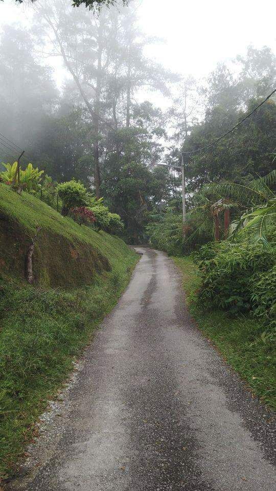 Marked by signboard, several hiking trails can be found around the hill as well as accessible waterfall. 
#weekendactivity #hiking #Fraserhill #retreat #leisure #places