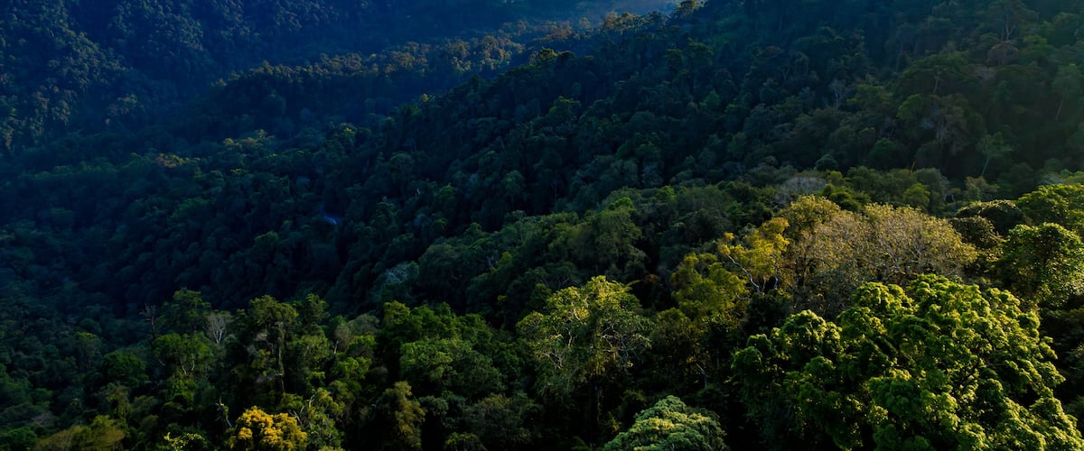 A dense forested mountain range with a valley in the foreground and distant mountains under a partly cloudy sky.