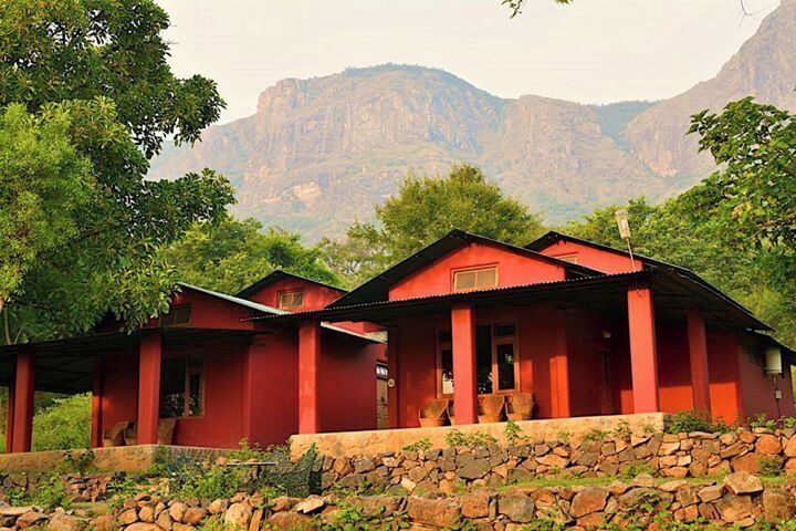 Jungle Retreat - a beautiful property in Masinagudi...