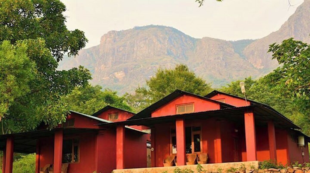 Jungle Retreat - a beautiful property in Masinagudi...