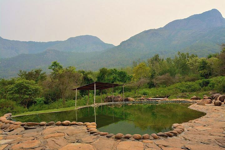 Jungle Retreat in Masinagudi - a beautiful, wild property where you can be in the lap of nature.