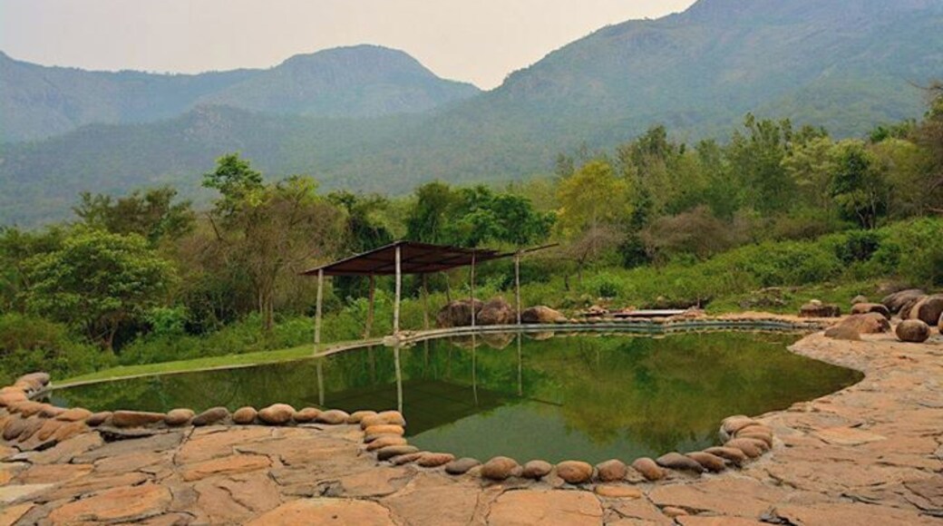 Jungle Retreat in Masinagudi - a beautiful, wild property where you can be in the lap of nature.