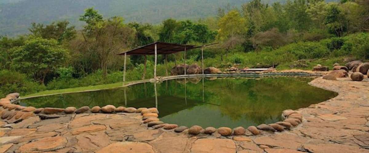 Jungle Retreat in Masinagudi - a beautiful, wild property where you can be in the lap of nature.