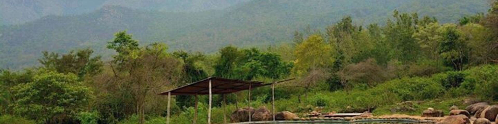 Jungle Retreat in Masinagudi - a beautiful, wild property where you can be in the lap of nature.