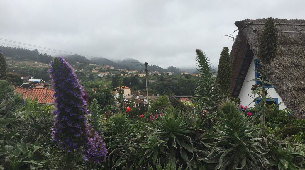 L'île de Madère est un endroit magnifique avec des paysages variés. Vous y serez très bien accueillis par les habitants qui parlent assez souvent français. Le climat est tempéré et il y fait toujours doux. Les fleurs et les arbres feront le plaisir de vos yeux et de vos photos.