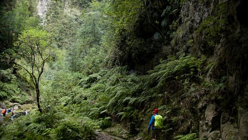 What else than a colourful outfit to hike through the intensely green Caldeirão Verde? #Green #LifeAtExpedia