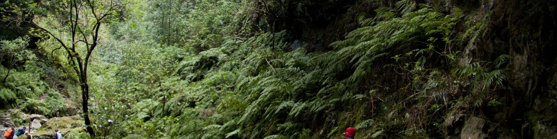 What else than a colourful outfit to hike through the intensely green Caldeirão Verde? #Green #LifeAtExpedia