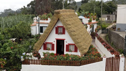 Madeira, Santana, traditional thatched house, elevated view
