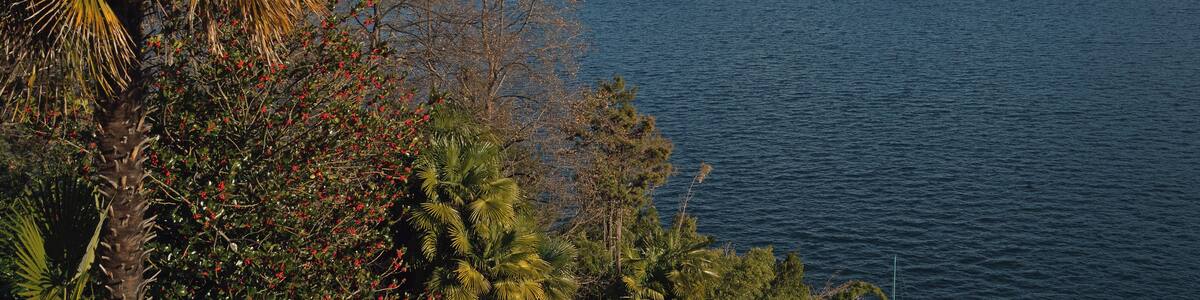 Isole di Brissago Lago Maggiore