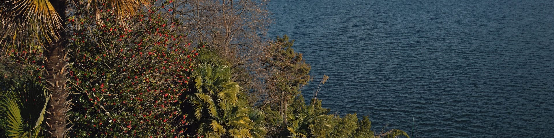 Isole di Brissago Lago Maggiore