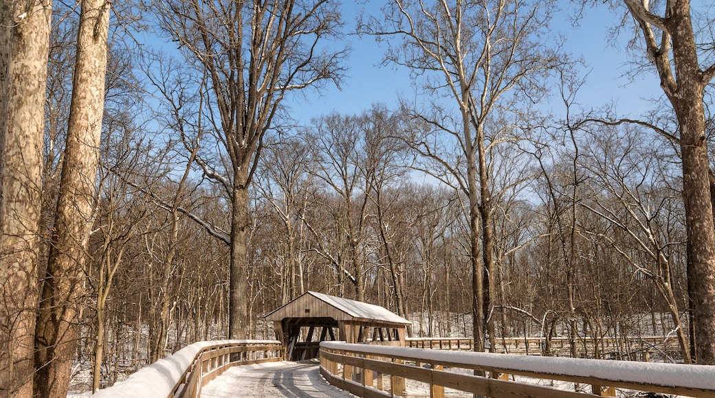 Snowy Covered Bridge Trail