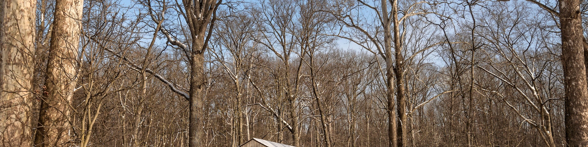 Snowy Covered Bridge Trail