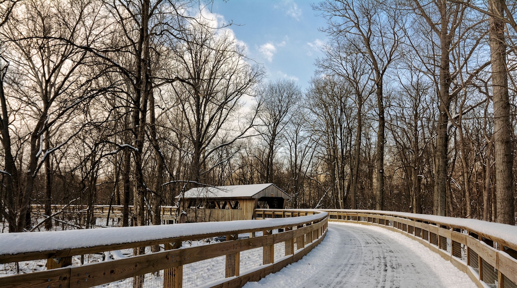 Snowy Covered Bridge Trail