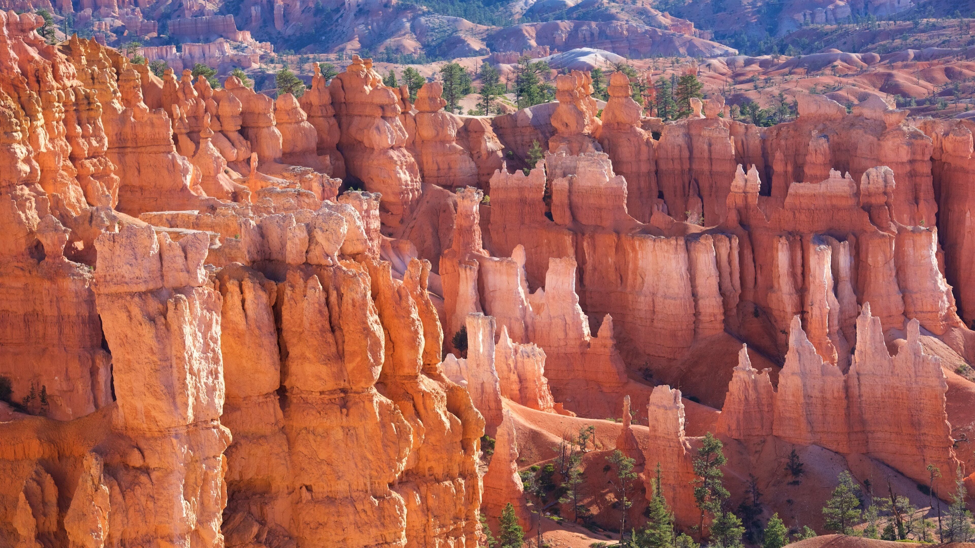 Bryce Canyon National Park showing desert views, tranquil scenes and a gorge or canyon