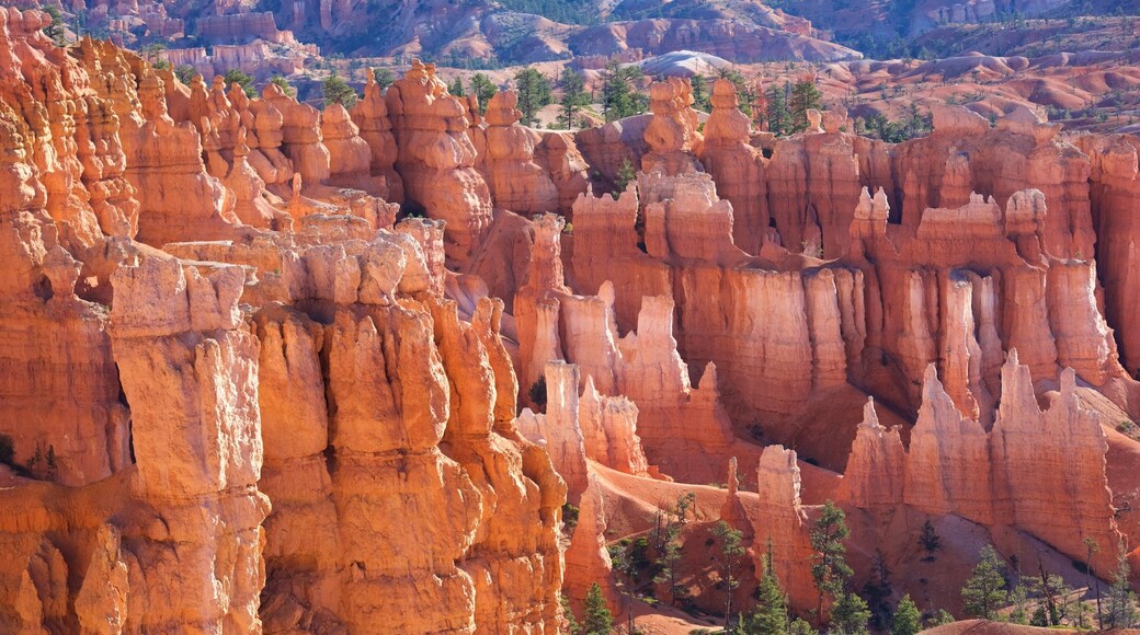 Bryce Canyon National Park featuring desert views, tranquil scenes and a gorge or canyon
