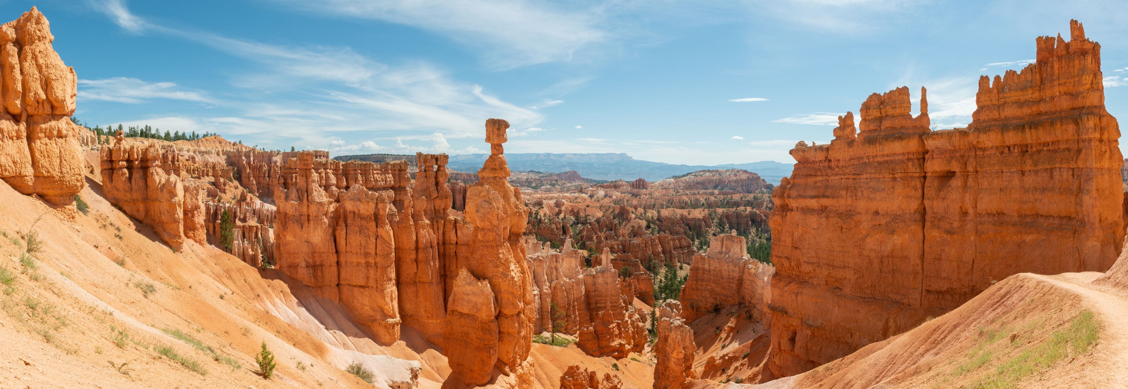 Panorama of hoodoos including Thor's Hammer from Navajo Loop in Bryce Canyon National Park, Utah