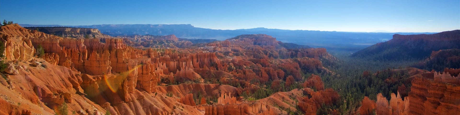 A canyon with red rock formations and a clear blue sky.