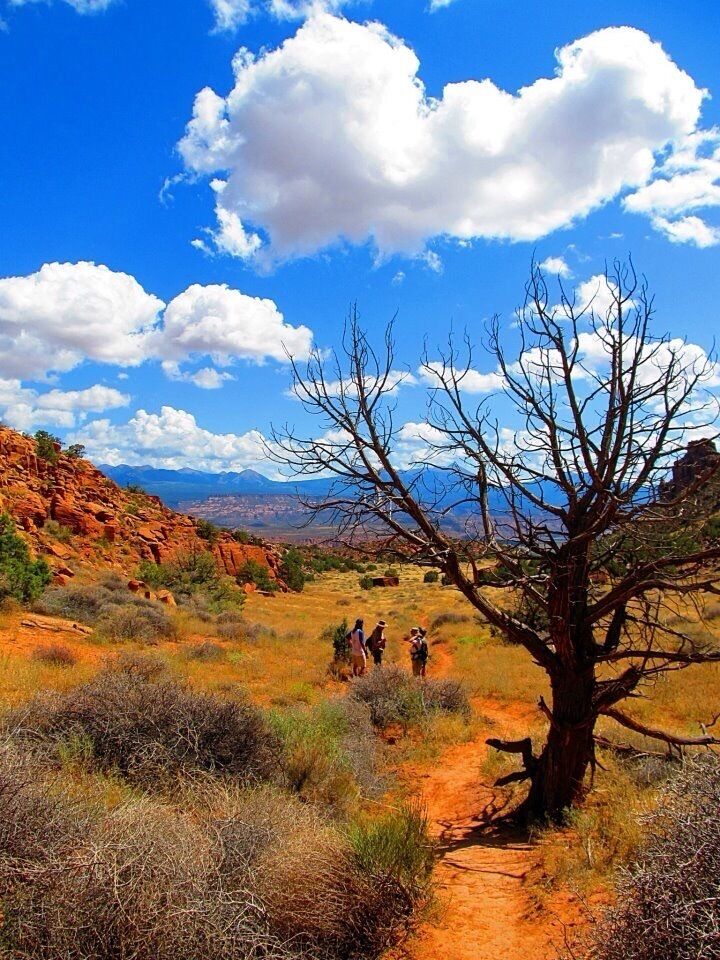 If you stay in Moab 3 or 4 days and you already visited Arches National Park, I advise you to try the Hidden Valley HIking Trail. you can easily reach it from Moab downtown. It'a moderate difficulty level and the panoramic views are incrdible !!
#NationalPark